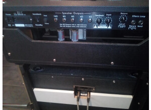 Custom Audio Electronics OD 50 Standard (36427)