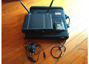 Line 6 Relay G55 (1667)