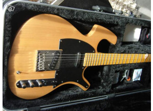 Parker Guitars P-36 (32271)