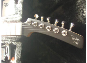 Parker Guitars P-36 (54280)