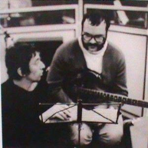 Burns Guitars Bison Bass