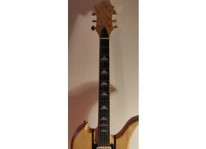 Gibson SG Junior (72826)