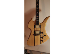 Gibson SG Junior (25484)