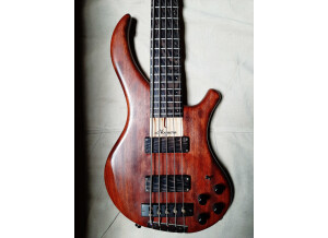 Noguera Expression 5 (33612)