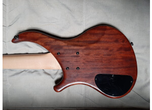 Noguera Expression 5 (40390)