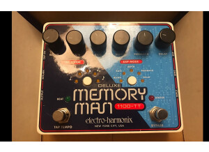 Electro-Harmonix Deluxe Memory Man 1100-TT (15933)
