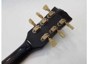 Gibson ES-335 TDW (22889)