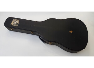 Gibson ES-335 TDW (55248)