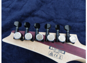 Ibanez RGAIX6FM (48678)