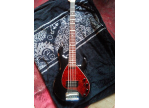Music Man StingRay 5 (46030)