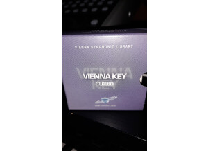 vienna