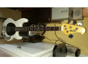 Sterling by Music Man Ray4 (70669)
