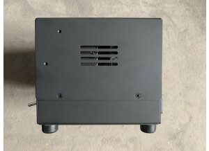 Revv Amplification D20 Lunchbox Amp (56113)