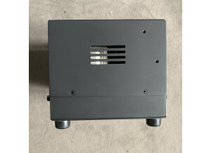Revv Amplification D20 Lunchbox Amp (88456)