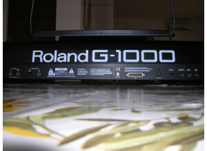 Roland G-1000 (94780)