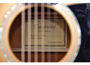 Tanglewood TD8 (7472)