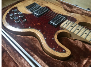 Peavey T-60 (33457)