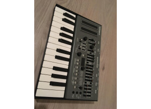 Roland K-25m (23973)
