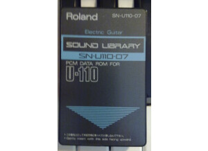 Roland SN-U110-07 : Electric Guitar (25295)