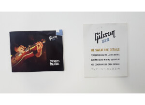 Gibson Les Paul Studio '60s Tribute (57619)