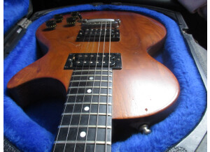 Gibson The Paul (25729)