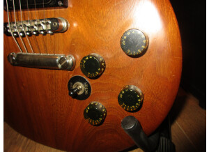 Gibson The Paul (16880)