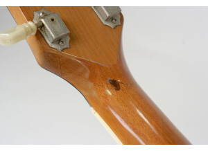 Gibson ES-175 Vintage (57702)