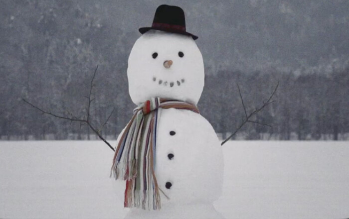 Labs Sleigh Bells Labs Sleigh Bells