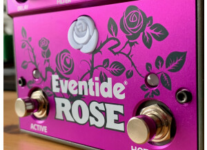 EventideRose - 5