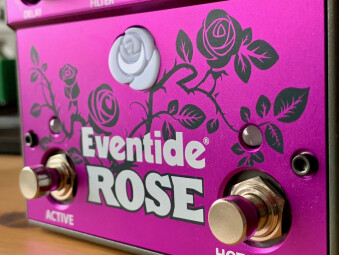 Eventide Rose : EventideRose - 5 Eventide Rose : EventideRose - 5