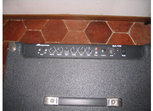 Ampeg BA-115T (40298)