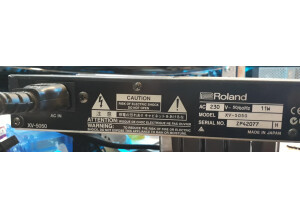 Roland XV-5050 (11731)