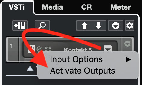Native Instruments Kontakt 6 : Affichez les sorties dans Cubase