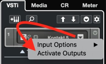 Native Instruments Kontakt 6 : Affichez les sorties dans Cubase Native Instruments Kontakt 6 : Affichez les sorties dans Cubase