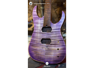 Hufschmid Guitars Tantalum model (76850)