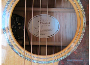 Fender ESA-10 E