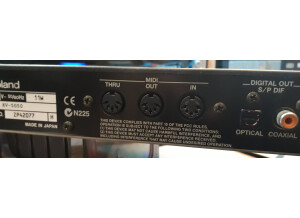 Roland2