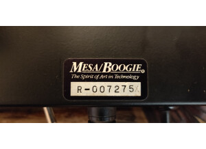 Mesa Boogie Trem-O-Verb Head