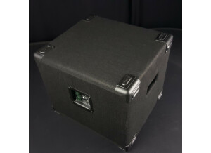 Eden Bass Amplification Terra Nova TN110 (19788)