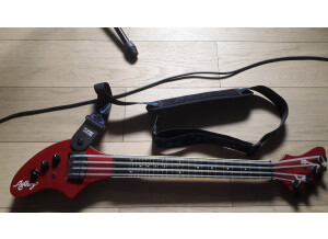 Fender Ashbory Bass (54190)