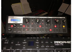 Moog Music SlimPhatty (91153)