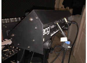 Moog Music SlimPhatty (55648)