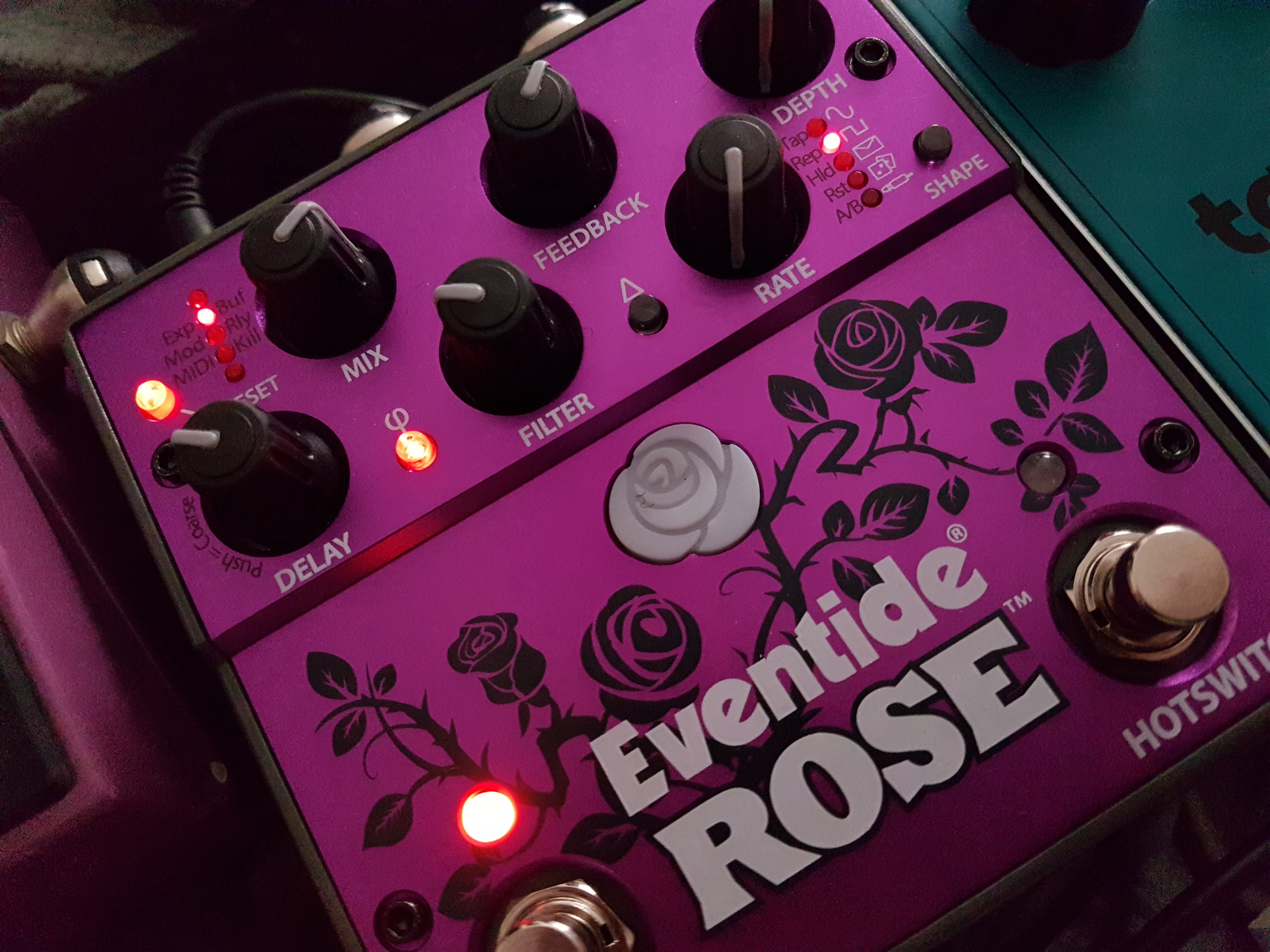 Eventide Rose