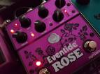 Eventide Rose