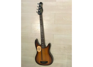 Godin Acoustibass LR Baggs