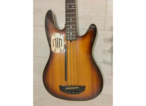 Godin Acoustibass LR Baggs (9585)