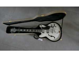 Hagstrom Viking Bass (51495)