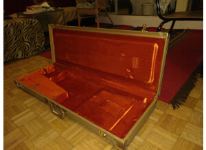 Fender Eric Clapton Stratocaster (89495)