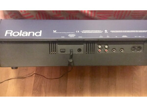 Roland EG-101 (26427)