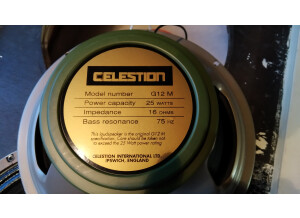 Celestion G12M Greenback (78248)